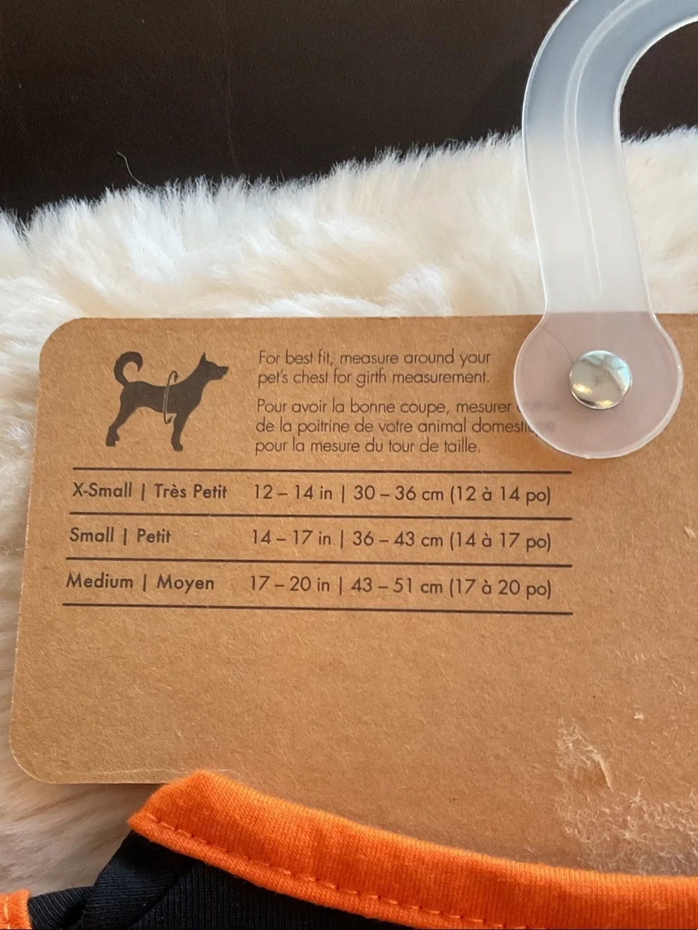 Pup Crew Black & Orange 'More Treats Please' Dog Dress